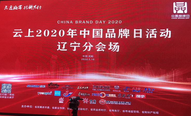 岭秀山集团参展“云上2020年中国品牌日”活动